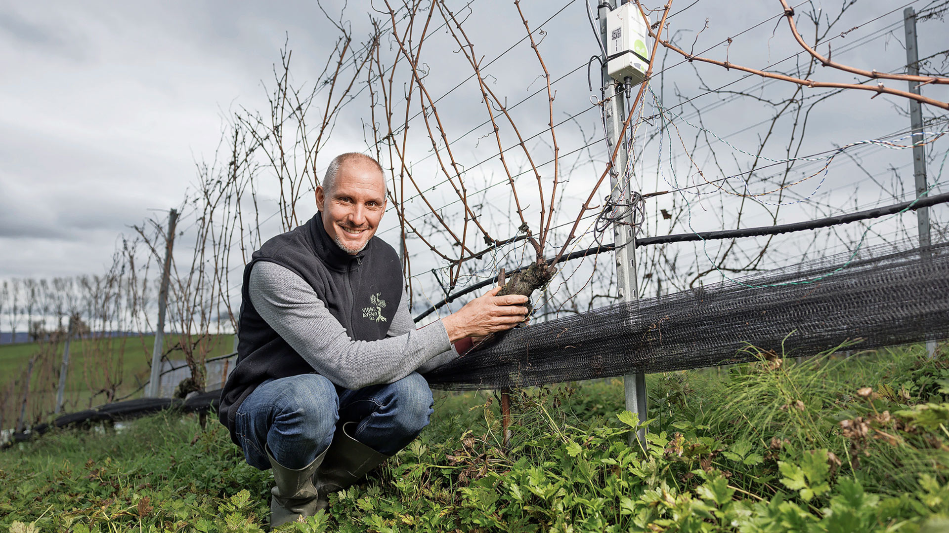 Un laboratoire à ciel ouvert pour booster les sols viticoles